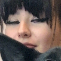 копиекат8 Голи