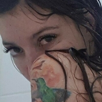 дримнц Голи