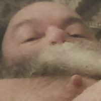 лепамплемус Голи